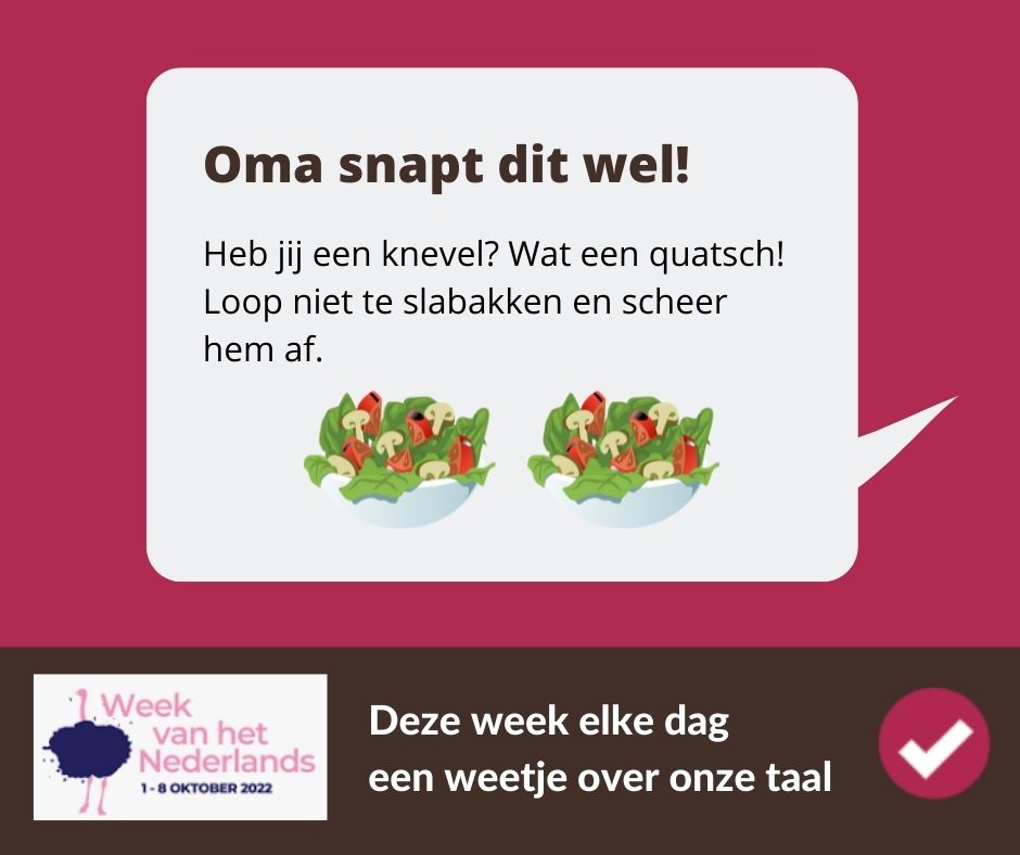 DeSchrijfstudio's tweet photo. Deze Oudhollandse woorden zijn te mooi om te vergeten. Daarom stoffen we ze af en zetten we ze vandaag in de schijnwerpers:  
Knevel = snor
Quatsch = onzin
Slabakken = treuzelen https://t.co/QcxqXJVQjo