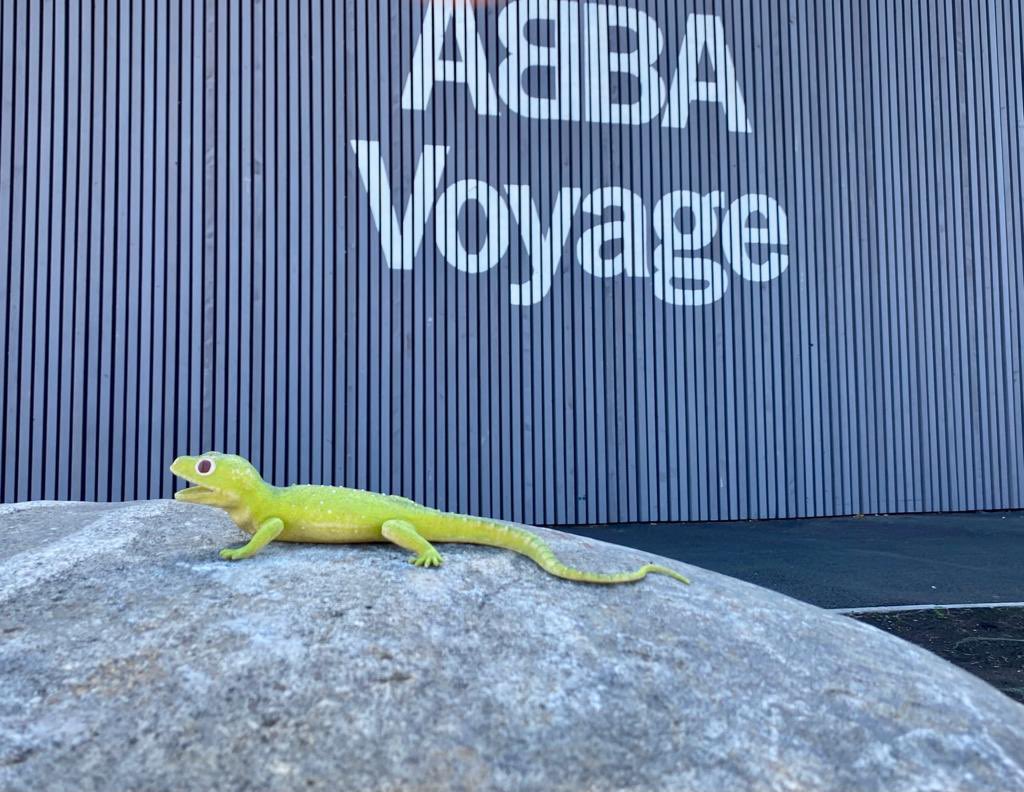 mrgreenlizard's tweet photo. Tā noballējos, ka gandrīz nokavēju lidmašīnu! 🦎🥂🇬🇧 #ABBAVoyage https://t.co/UDb6xuEKBZ