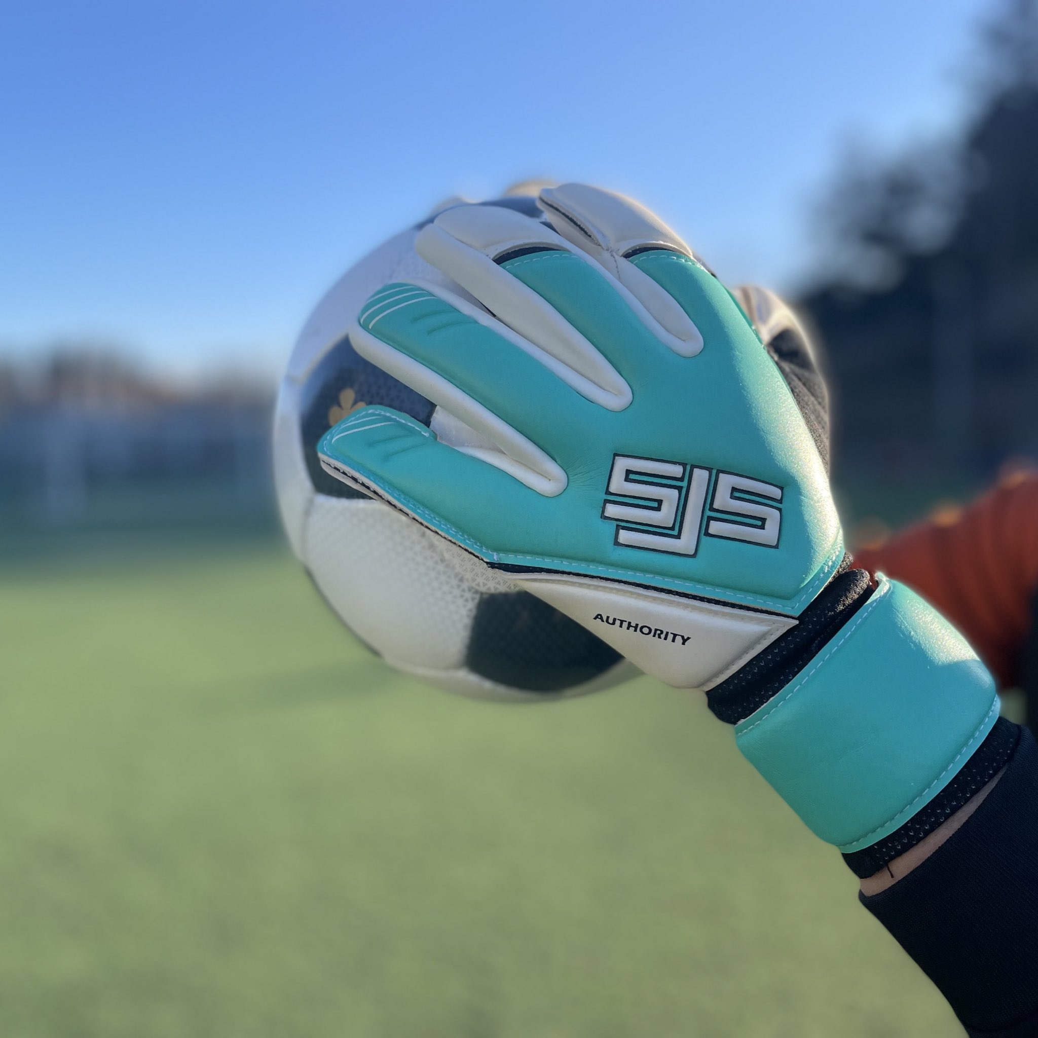 Sjs goalkeeper gloves hotsell