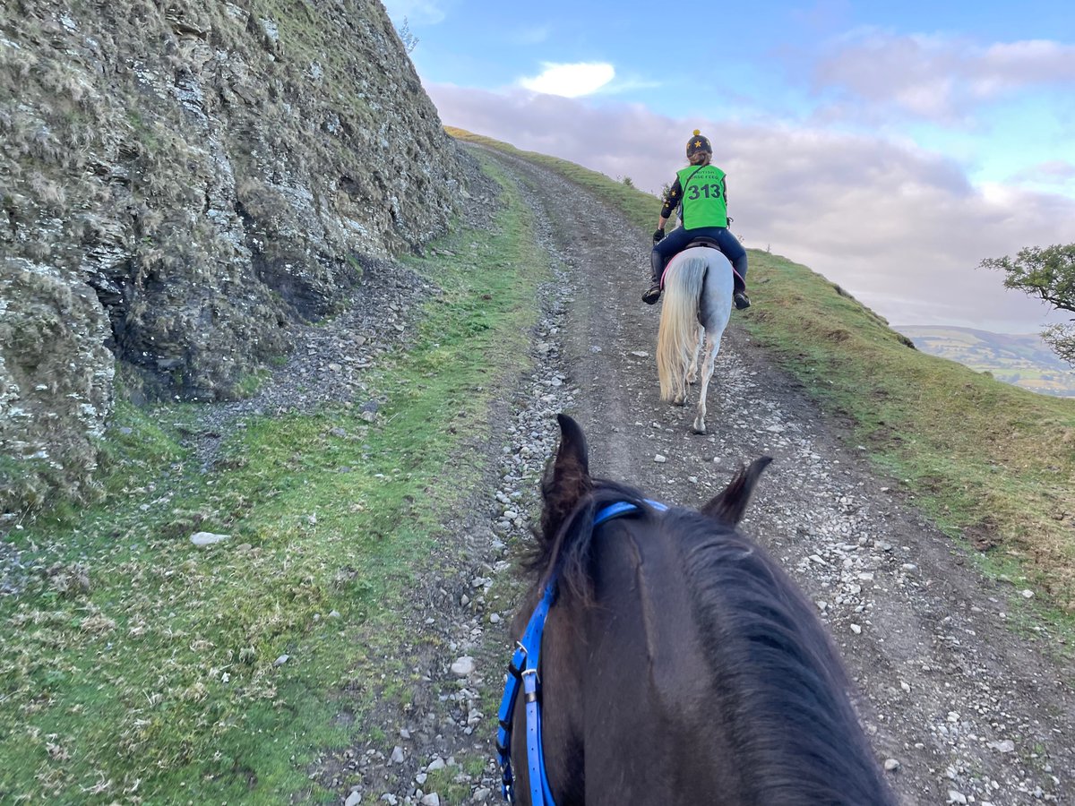 Claridge tweet media