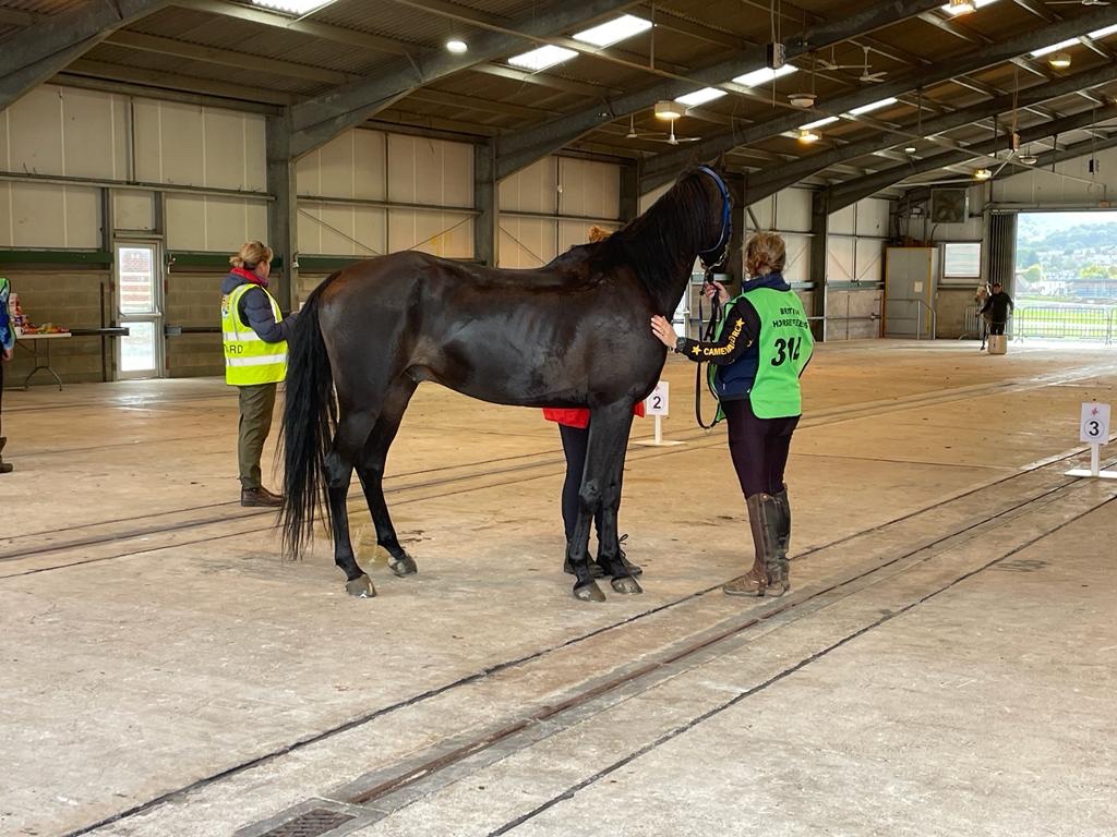 Claridge tweet media