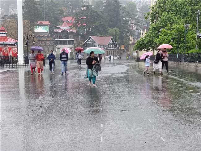 ShikhaYadav000's tweet photo. हमारे शिमला में ठंडी ठंडी बारिश हो रही है 🌧️ ☔
                  आपके वहा ?? https://t.co/ebn94rDSP6