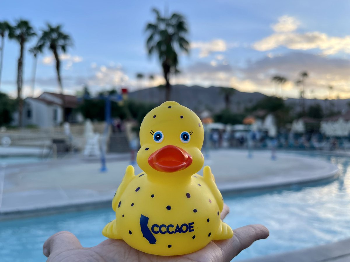 drlindabermudez's tweet photo. Ducky Derby at @CCCAOE 🦆 #K12SWP #CTE #CCCAOEFall2022 https://t.co/DHmjbln0TR