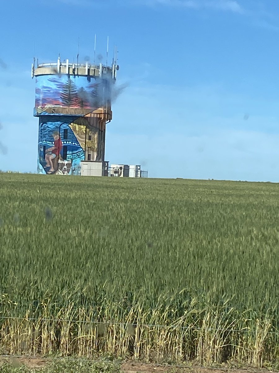 dipout's tweet photo. Just love the art work done on silos and water tanks https://t.co/7IKVYoDH0E