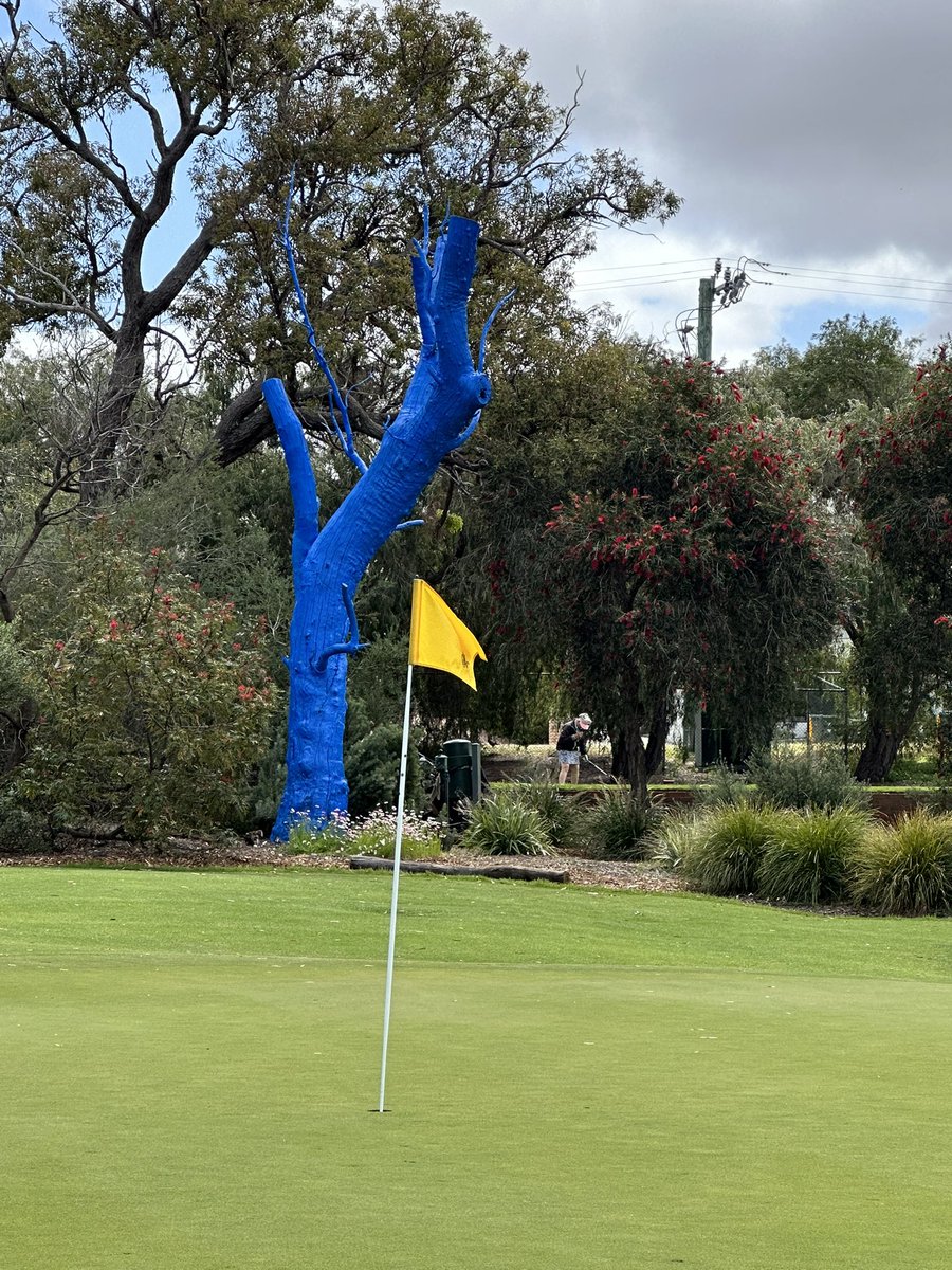Idris_Evans's tweet image. Our blue tree got another coat of paint in awareness of men’s mental health.