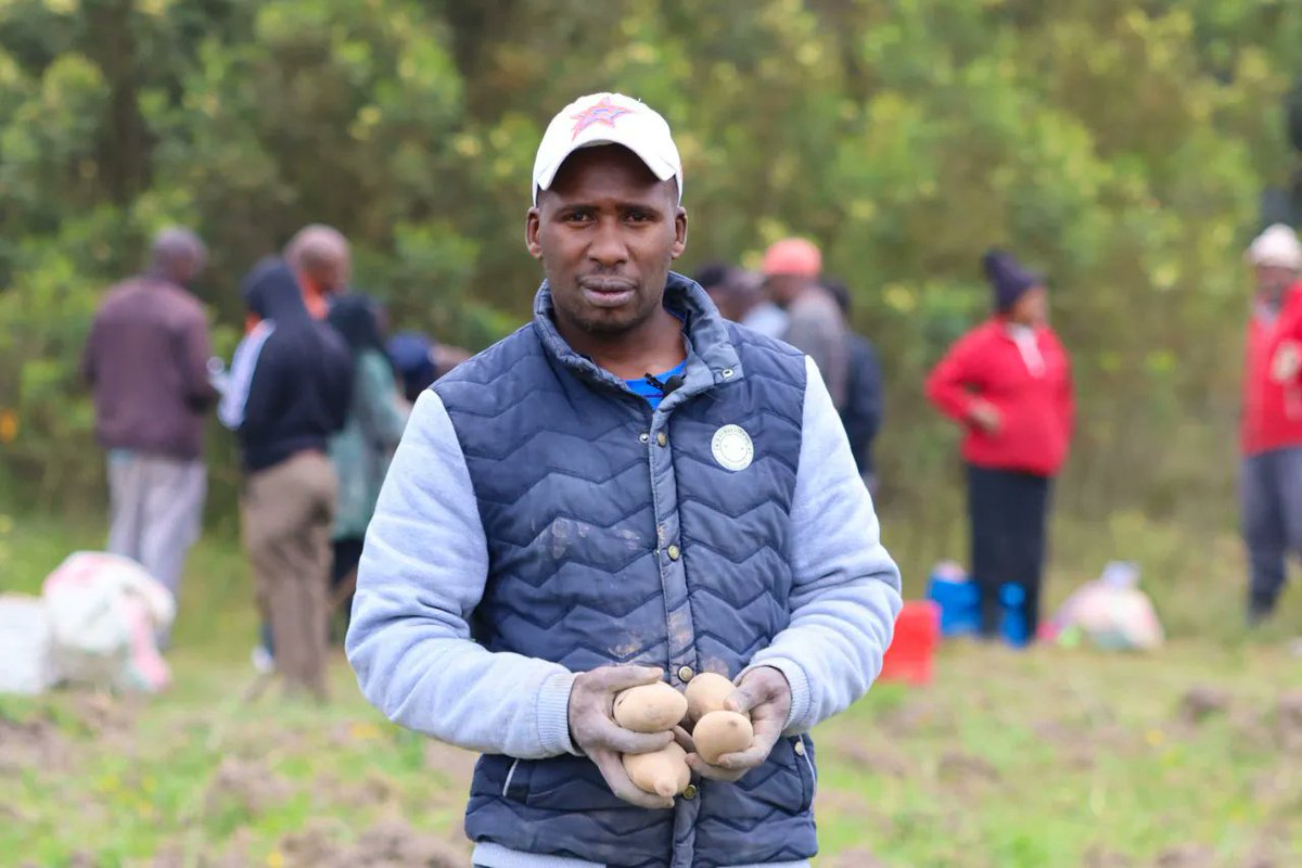 IFDC Kenya tweet media