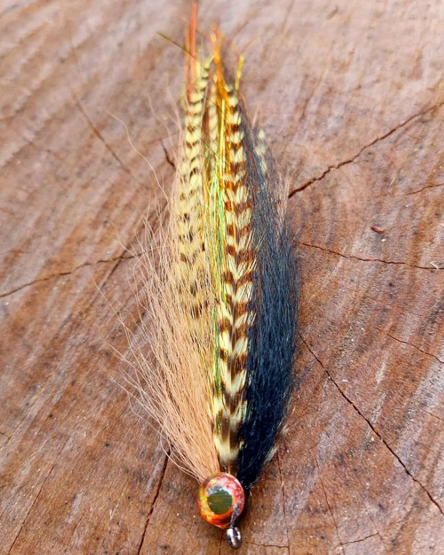 ZZ_Troutski's tweet photo. Beautiful Baitfish
@hellmanflies
Gold bomber heading to Cape York to chase some barra. Bendback style
.
#goldbomber #goldbomberfly #bendbackdeceiver #bendback #bucktaildeceiver #bucktailflies saltwaterflyfishing #flyfishingaustralia https://t.co/Q4TL9iFEON