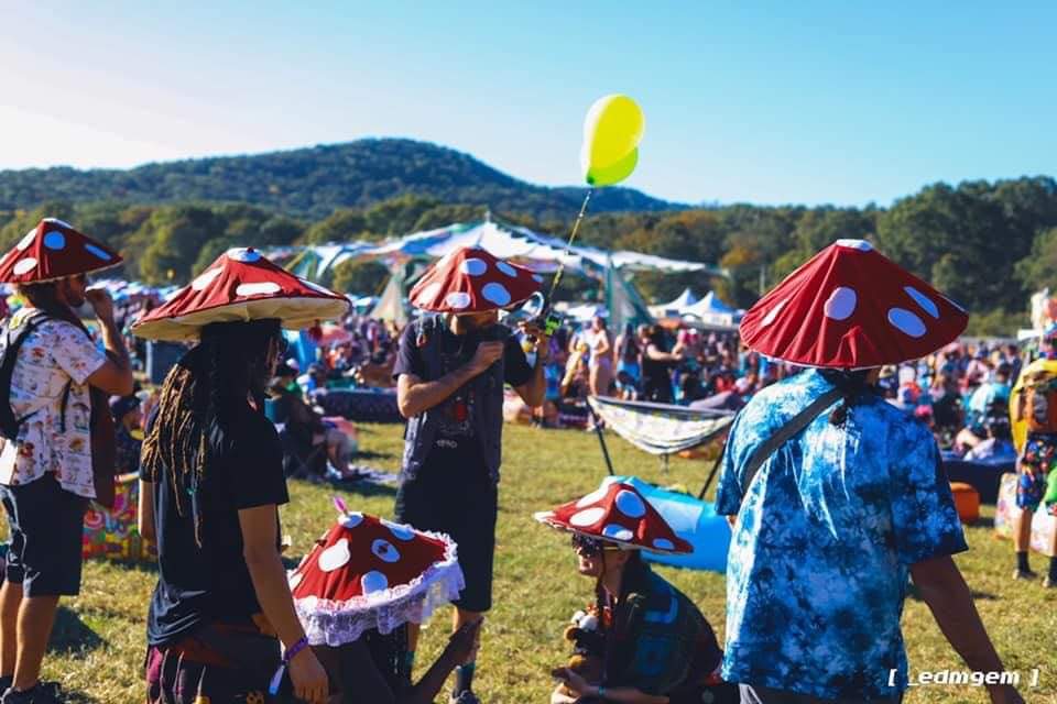 CanSitHere's tweet photo. My crew fancy on the weekends. #mushiehats #fusenfisherman #wakaan #edmgem @_edmgem appreciate the pic! https://t.co/gh6ZsZhuGN
