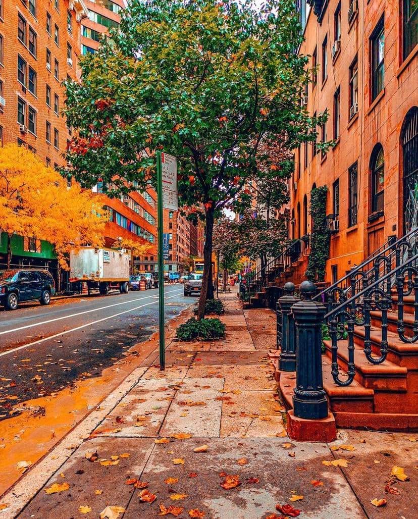 Bugun haberlere takilmadigimiz sevgiye acilan kapilari zorladigimiz ve hosgorunun tavana vurdugu bir gun dilerim!!!