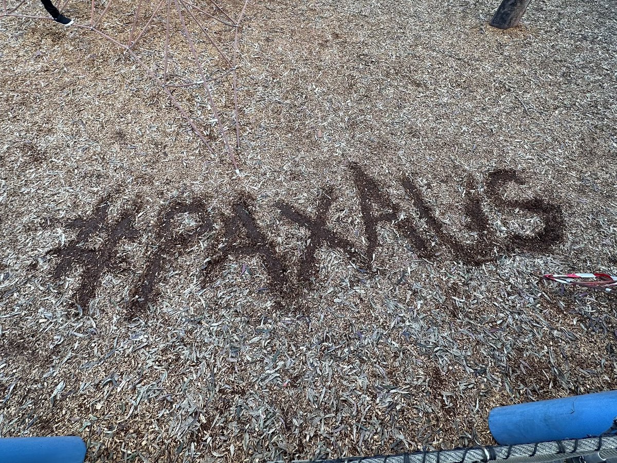 koko ❀ tweet media