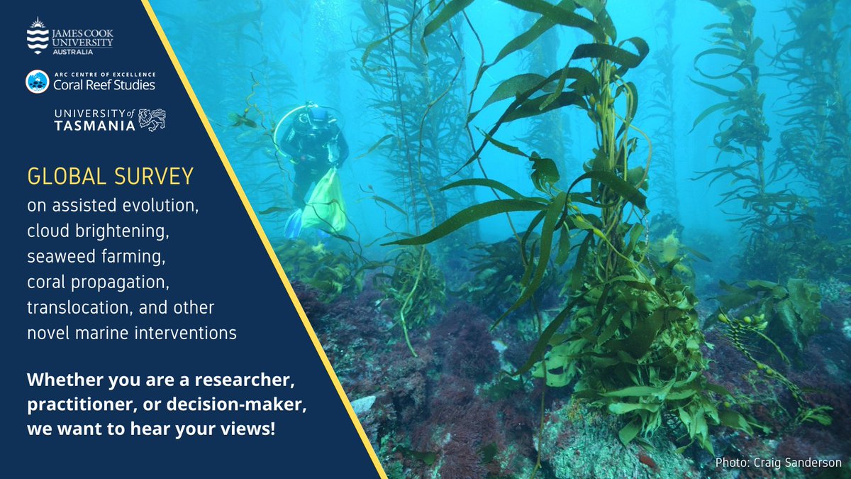 Do you care about New Interventions in Global #Ocean Hotspots?

Take part in a ~15min global survey on how new interventions in #ChangingOceans are proposed, managed and governed

Survey link here👉t.ly/Tqya 
Please share widely 🙏