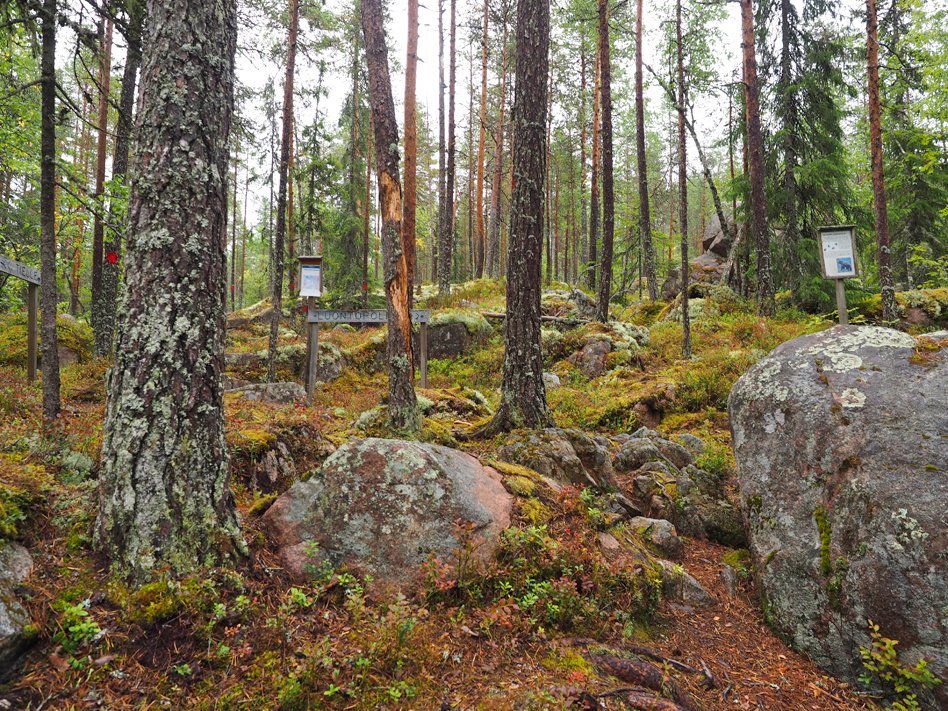 We are celebrating the 1st International #GeodiversityDay. Get to know our Geopark's geodiversity through an article written by our geologist Pasi Talvitie and visiting our geosites. Welcome!
lhgeopark.fi/en/geodiversit…
#lhgeopark
#unescogeoparks
#europeangeoparks