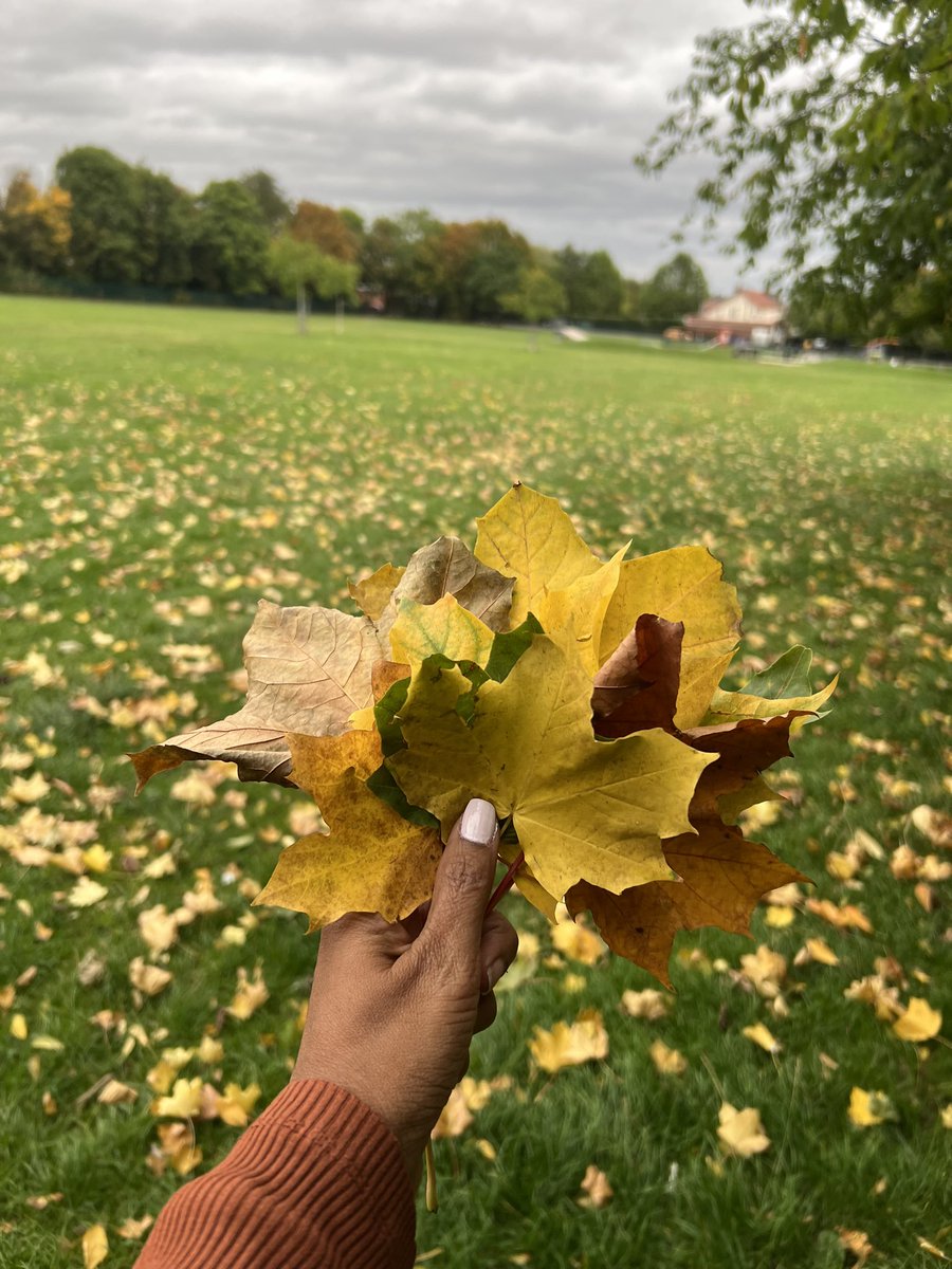 yasmine_oozeear's tweet photo. 🍂💛 Every #leaf speaks
BLISS
To me
Fluttering 🍂💛
From the Autumn
Tree
A beautiful autumnal day to you my friends !
#AutumnFeeling
….🍁…. https://t.co/TZnT7bZYpd