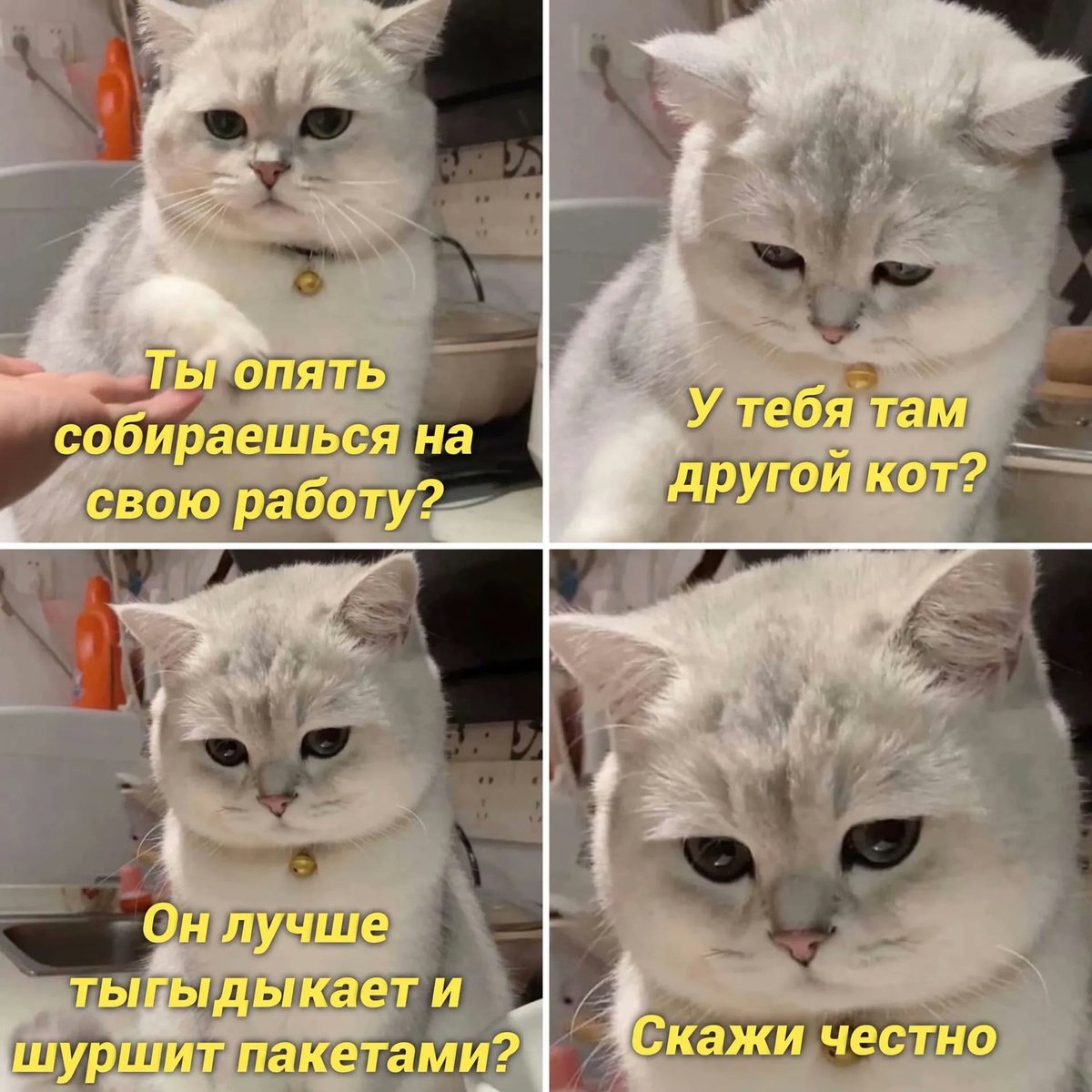 Пьяный Твиттер (@drunktwi) on Twitter photo 