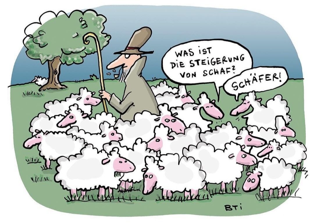 FrauvanAdis's tweet image. Ein echt schafes Cartoon. :-)
Danke @FreeSchipping!

#cartoon #cartoons #sheepcontent #sheep @Ziegenmama @schafzwitschern
