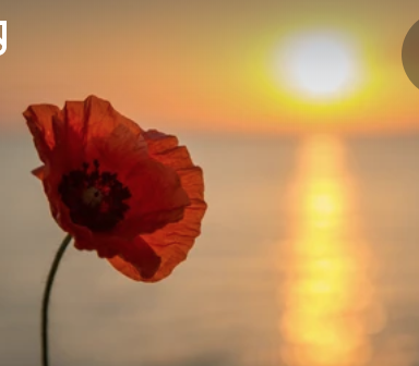 Lost his life this day. 6th.October.1940.

Sgt. Frederick Fenton Vinyard .
One of THE FEW.
bbm.org.uk/airmen/Vinyard…
On an operational patrol in his Spitfire he entered cloud in poor visibility.
His  Spitfire was seen to crash into the sea off Flamborough Head.
He was never  found.