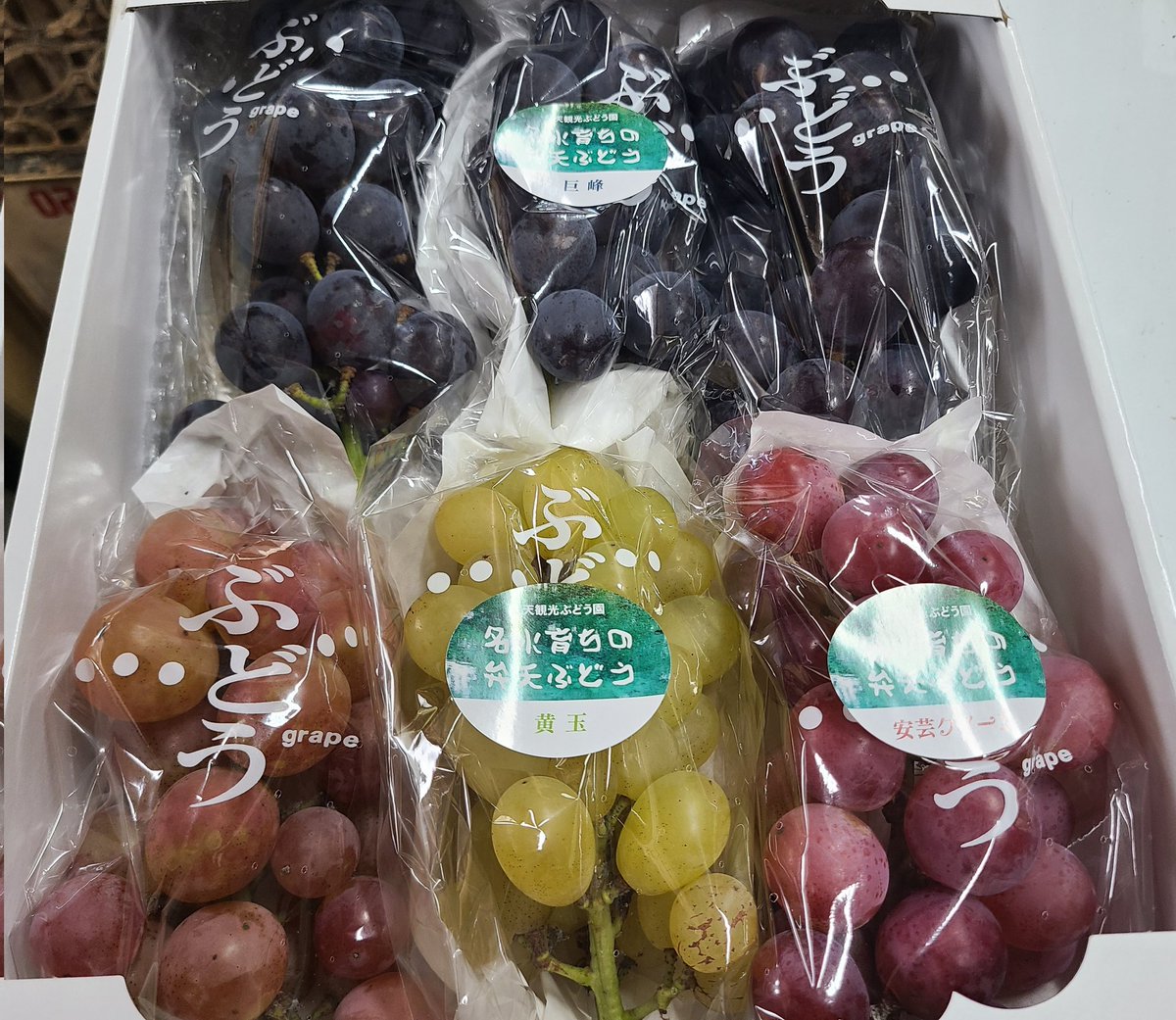 benten_budou's tweet photo. 第６回プレゼント企画✨🎁✨最終
行います。今回もおまかせセット2キロを抽選で２名さまへ…内容は巨峰、安芸クイーン、黄玉です。

要件
✅このツイートをフォロー&amp;RT
✅期間10月8日(土)17時迄⏰
オンラインの受付終了と同じ時間

⚠️プレゼント目的の応募は固くお断り致します。よろしくお願いします https://t.co/1eKi6EcIuE