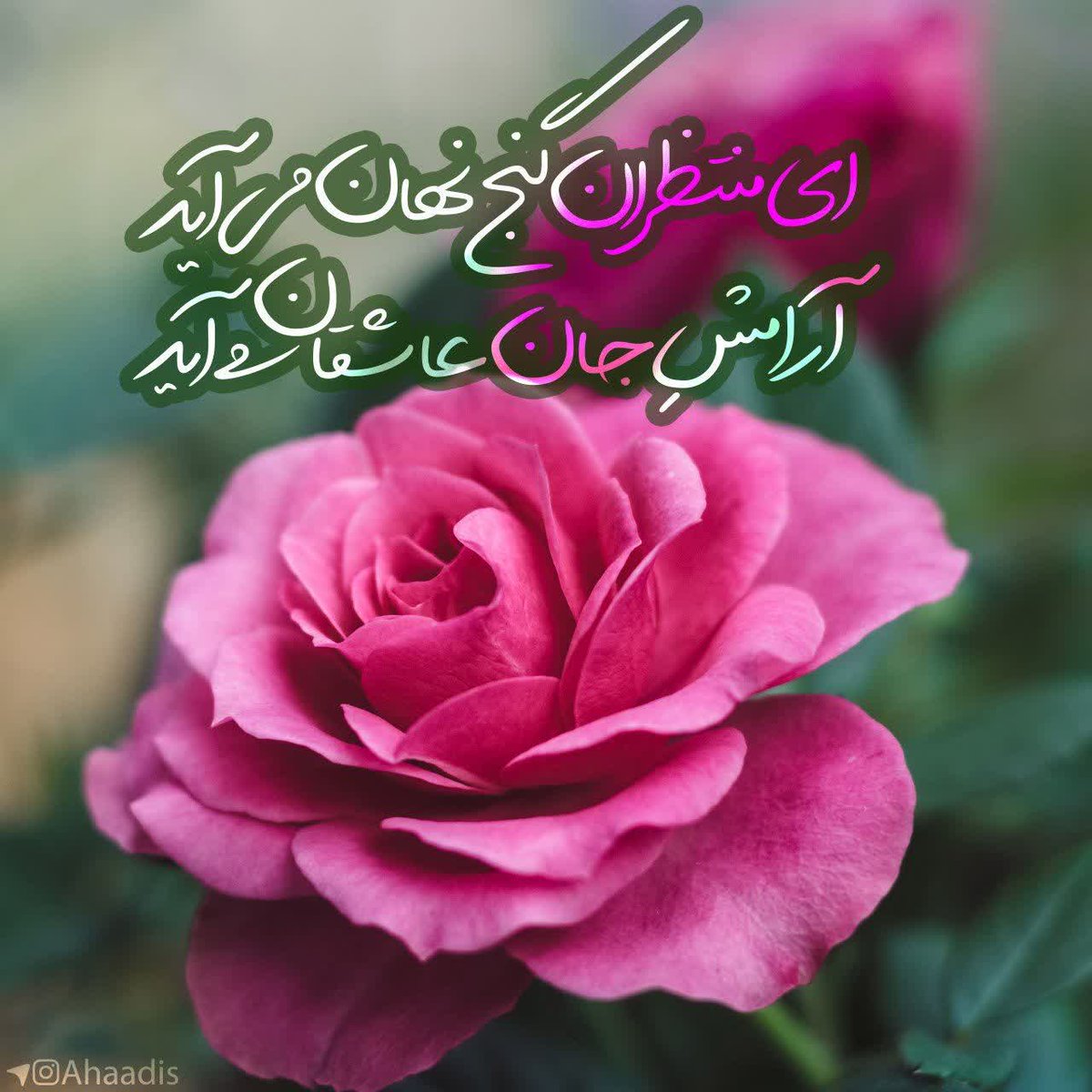 Sadataam's tweet photo. ای منتظران گنجِ نهان می آید
آرامشِ جانِ عاشقان می آید

    بر بام سحر طلایه داران ظهور
 گفتند که صاحب الزمان می آید

سالروز آغاز امامت #امام_زمان (عج) بر همه منتظران عدالت در عالم تهنیت باد
اللهم عجل لولیک الفرج
#لبیک_یا_خامنه_ای https://t.co/IuuCiA4iYi