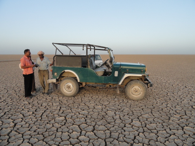 royallocations's tweet photo. This is the Barren Little Rann of Kutch in Gujarat
Running into hundreds of kms
To Film her call Kishore Sinh Parmar
9898279640 & 7485949640 ( gujaratlocations@gmail.com)
#LineProductionGujarat
#RannOfKutch
#GujaratFilmLocations
#BarrenLandsOfGujarat
#FilmInGujarat https://t.co/nndzOhFYZF