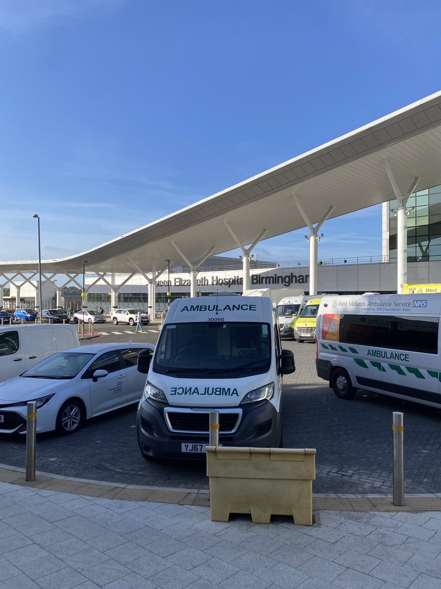 Graz Leonowicz tweet media