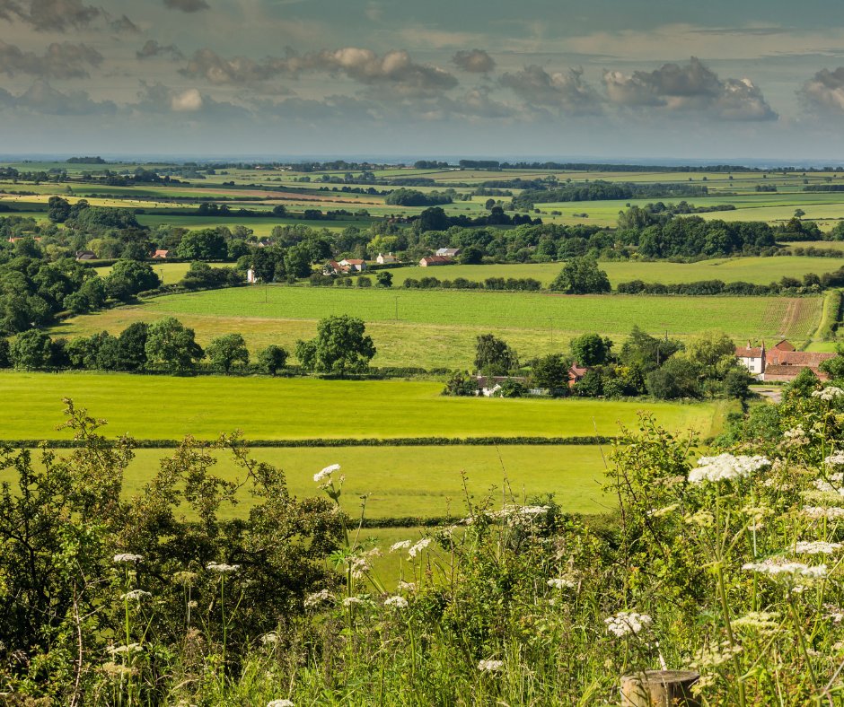 ActiveBPFarming's tweet photo. Is the Sustainable Farming Incentive right for you?

Placement student Ciaran McKeague has broken down the new SFI scheme into bitesize chunks, helping you to decide whether its right for you, if you're eligible, and how to apply... 

👉https://t.co/JQiEVbSLdm https://t.co/e3OzxRa0sS