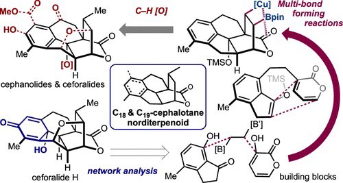 Unified Total Syntheses of Benzenoid Cephalotane-Type Norditerpenoids: Cephanolides and Ceforalides

@J_A_C_S @isciverse #Chemistry #ChemTwitter #chemed #scicomm #news #Technology #Tech #NewsBreak #Trending #research #science #AcademicTwitter 

pubs.acs.org/doi/10.1021/ja…