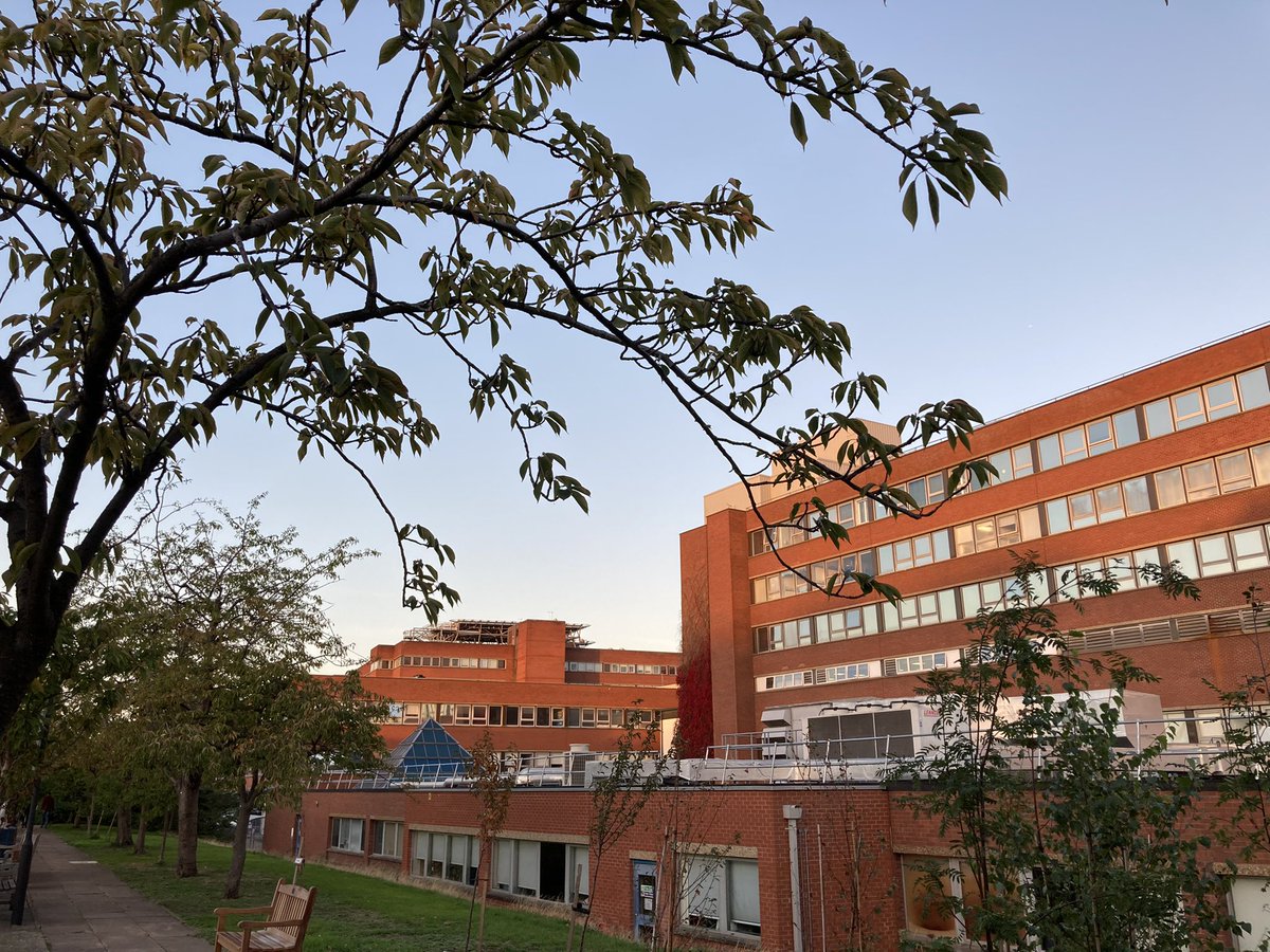 Sue Affleck 💙 tweet media