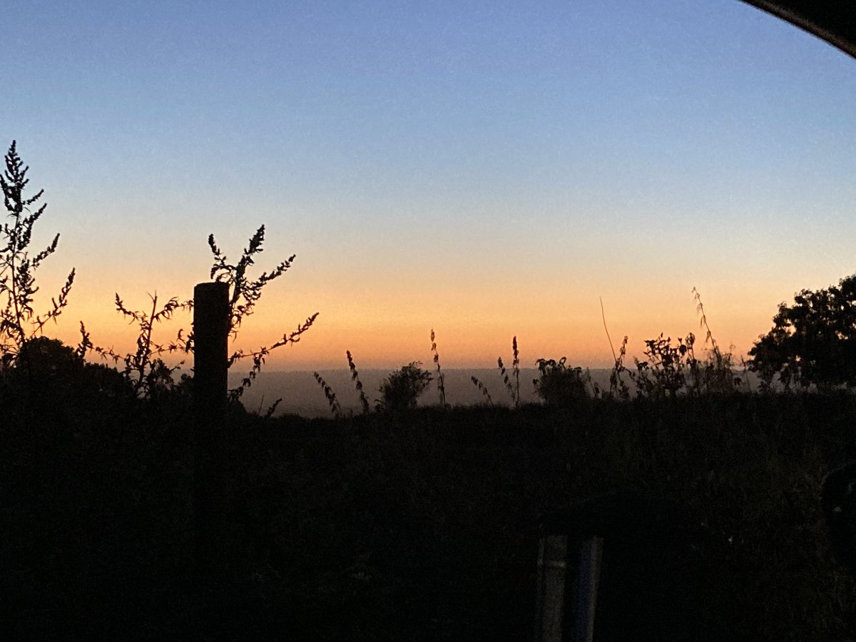 Sue Affleck 💙 tweet media