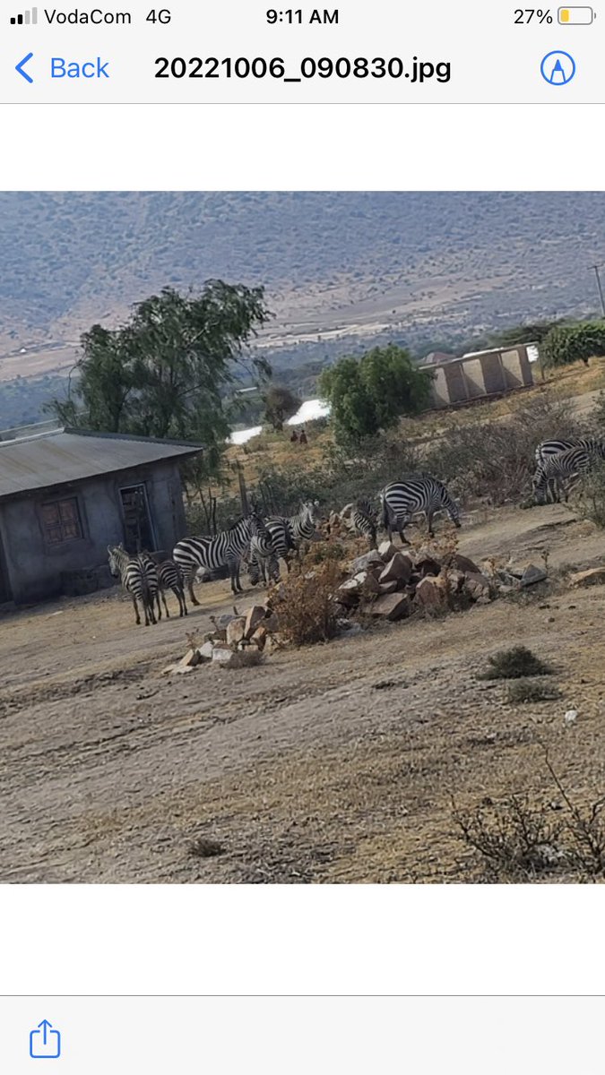 Tuna ishi nao fresh tu; karibuni Wasso Loliondo.