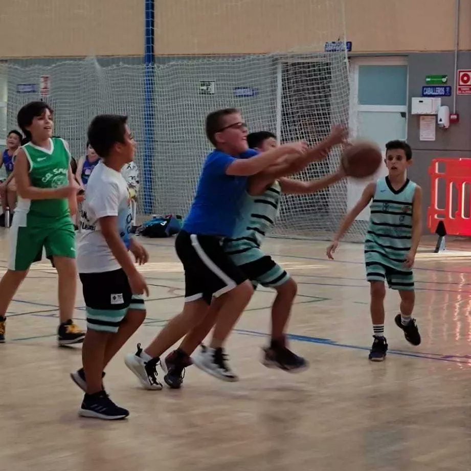 CAB_lasgabias's tweet photo. Nuestro mini masculino federado Tecnocasa comienza su preparacion contra nuestros amigos de @CBChurriana
Buen partido de ambos equipos.
Gracias por la visita https://t.co/48ZmTeL0ub