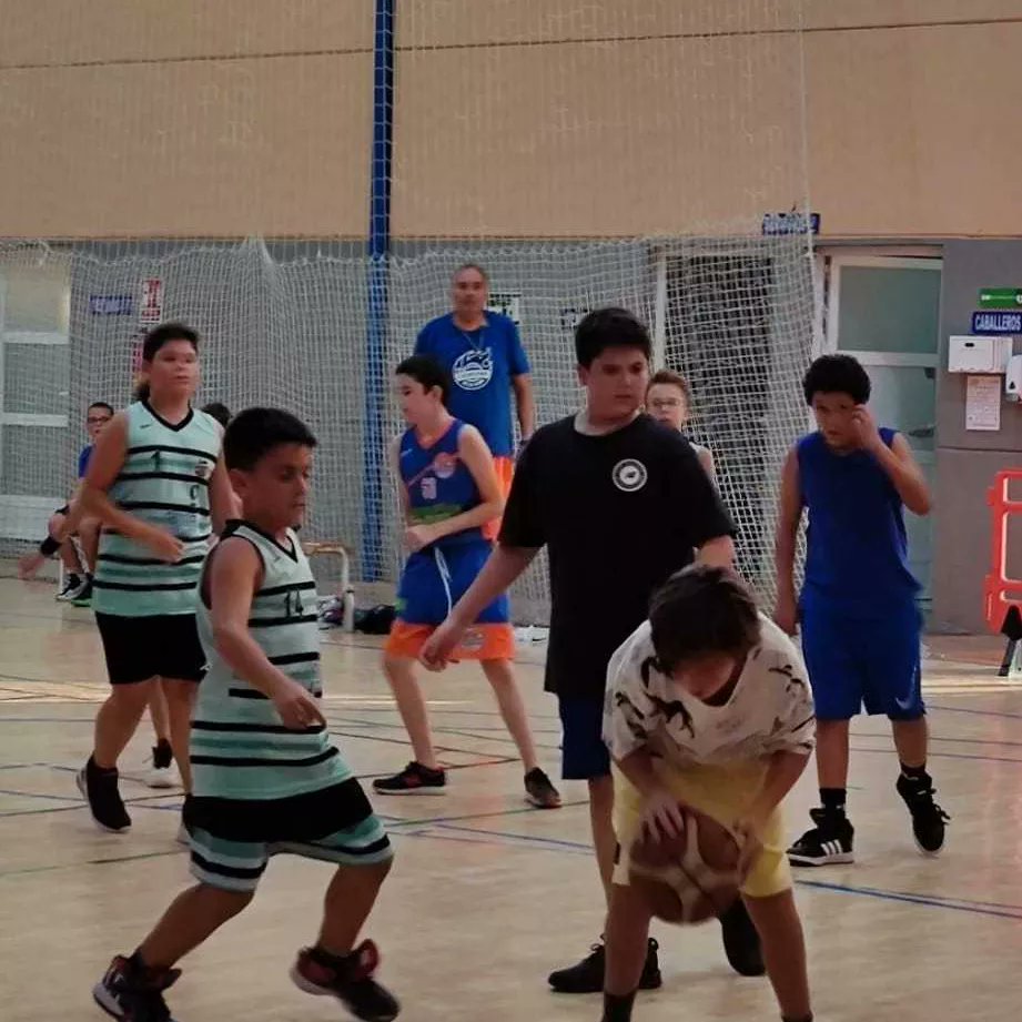 CAB_lasgabias's tweet photo. Nuestro mini masculino federado Tecnocasa comienza su preparacion contra nuestros amigos de @CBChurriana
Buen partido de ambos equipos.
Gracias por la visita https://t.co/48ZmTeL0ub