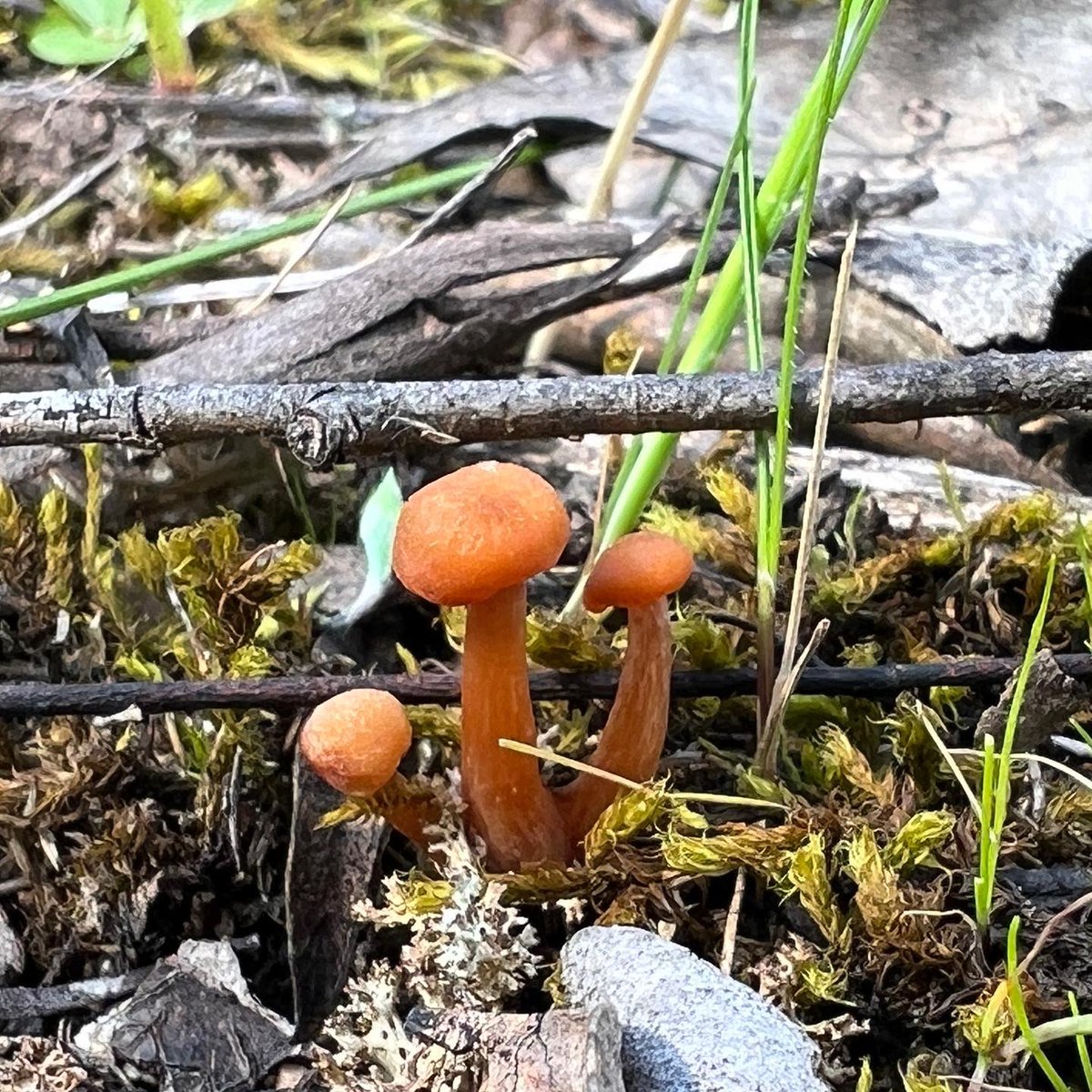 Cameron Tasker tweet media