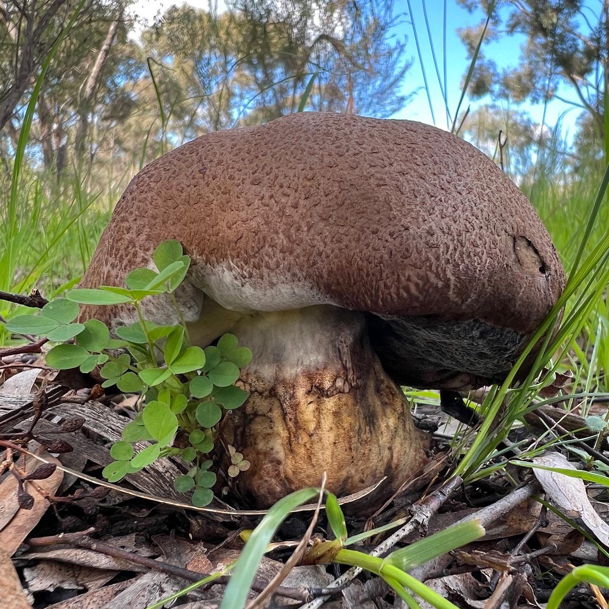 Cameron Tasker tweet media