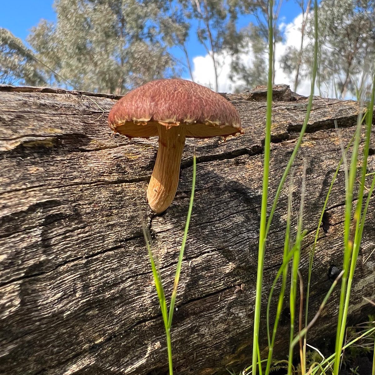 Cameron Tasker tweet media