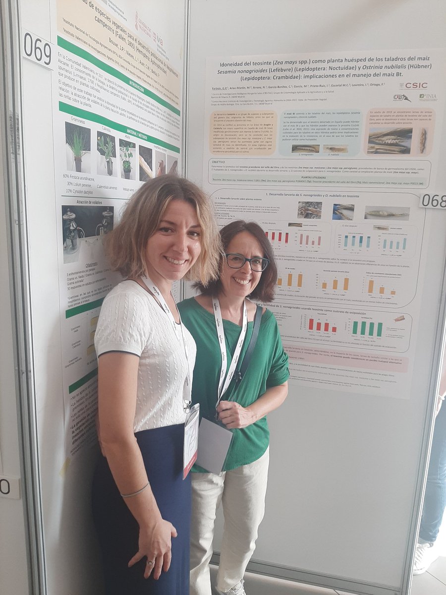 MariaAriasTec's tweet photo. Presentando la problemática de la presencia de teosinte (ancestro del maiz) en campos de maíz transgenico en el XIi Congreso de Entomología Aplicada de Málaga. @SEEA_entomol @INIA_es https://t.co/ZnuxcIyW3B