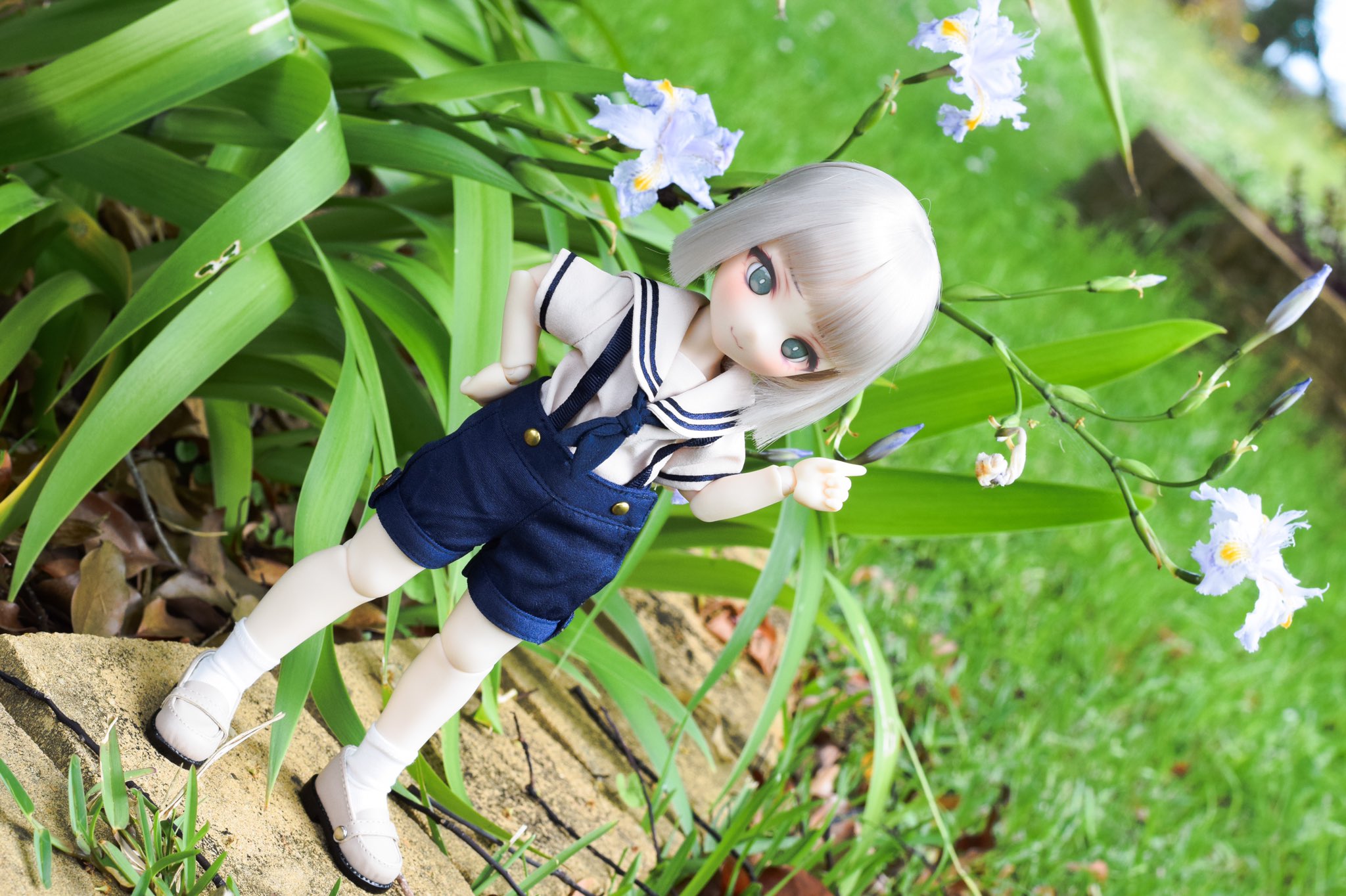 FeXfL5uakAA6e0c?format=jpg&name=large