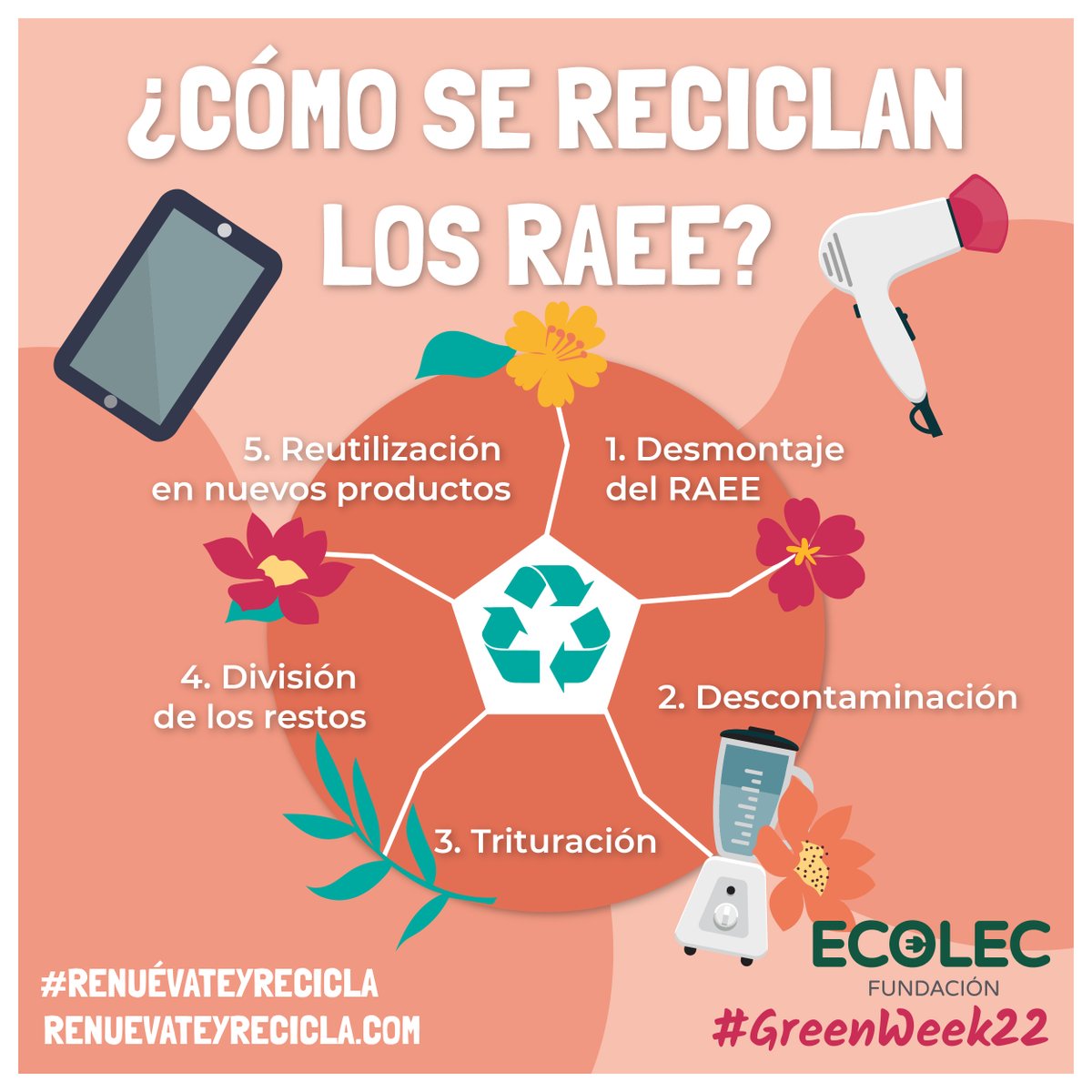 GreenEcolec's tweet photo. ¿Sabes cómo se reciclan los #RAEE después de que los deposites en los cajones de #GreenWeek22?
¡Descúbrelo hoy y anímate a participar este otoño!🍂♻️
#RenuévateyRecicla https://t.co/6eVeZXUfiq