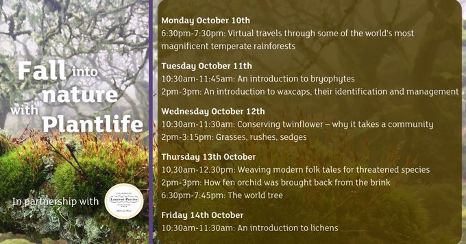Love_plants's tweet photo. Likin' lichens? Obsessed with orchids?

There's something for all nature lovers in "Fall into nature with Plantlife" 

All online events are now open to book ➡ https://t.co/SuCBiEoZM1 

Brought to you in partnership with @ChampagneLPUK https://t.co/0zCwRwul9x