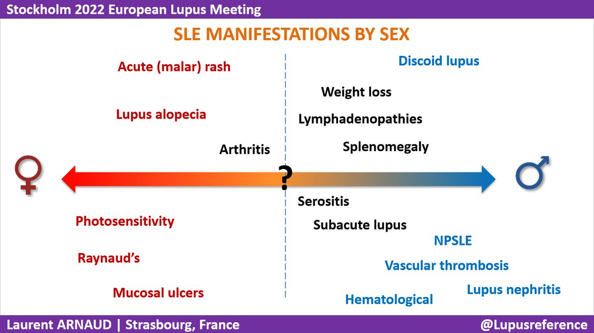 #LUPUS2022 Prof. Arnaud @Lupusreference gives a great presentation on male patients with SLE. ☑️SLE more common in female ☑️In some studies, SLE more delayed and more severe in men ☑️Different data in literature (influence by confusing factors) @SLEuroSociety