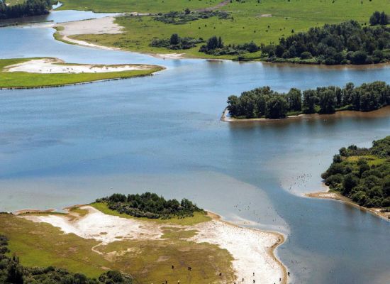 Het Inspiratieboek 'Samen sturen op natuur' bundelt een aantal van de belangrijkste inzichten uit de governance-aanpak van het programma #LifeIP #Deltanatuur. Lees het in de #Hydrotheek: blog.hydrotheek.nl/2022/09/samen-…
