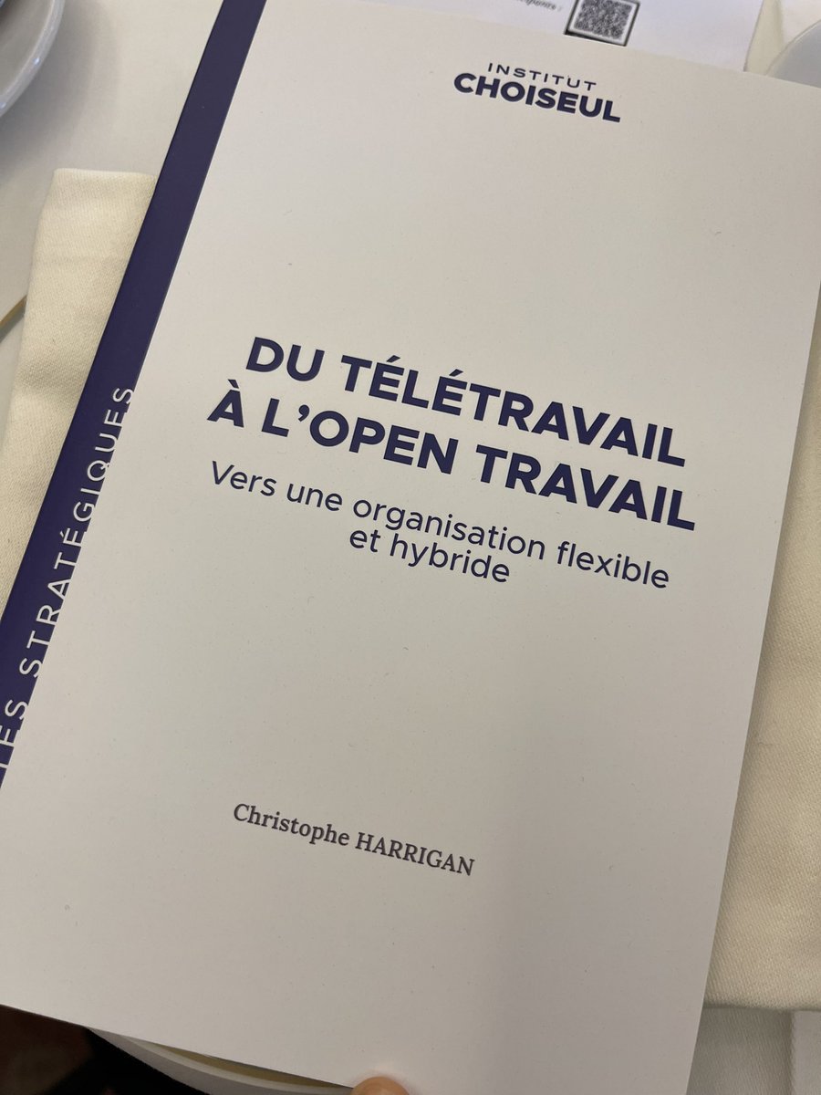 c_mariton's tweet photo. #teletravail #opentravail @instchoiseul https://t.co/lnZii8MRLB