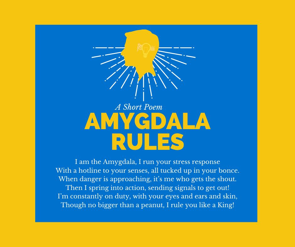 worksafeandwell's tweet image. It&apos;s #nationalpoetryday today, so as I&apos;m preparing to run a #creatingcalm workshop this weekend here&apos;s a poem summarising the stress response as
poetry can help communicate complex concepts in a more accessible way.

What&apos;s your favourite poem?

Why not share it below?