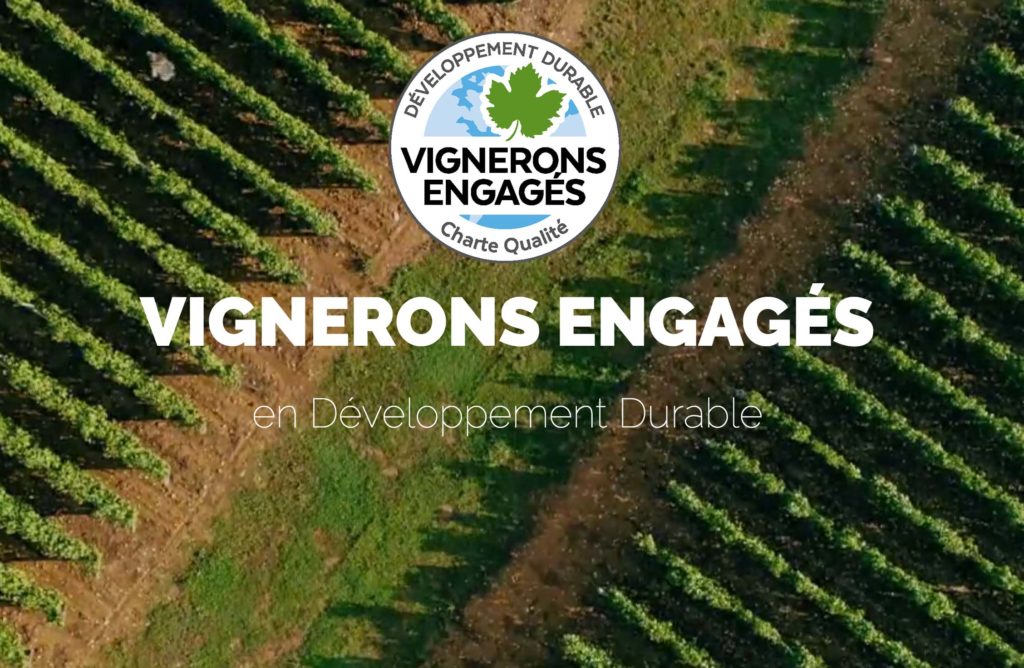 vinetsociete's tweet photo. La monde du vin se labellise 🍇

L'association #Vignerons Engagés, 1er label RSE de la filière #vin, lance un incubateur RSE pour accompagner les acteurs vers la labellisation 🌿

@lv_vitisphere 👉 https://t.co/QAqUndOZWC 
Le label @VinsDD 👉 https://t.co/1OyarLhLT3 https://t.co/Dpwcu3MWOY