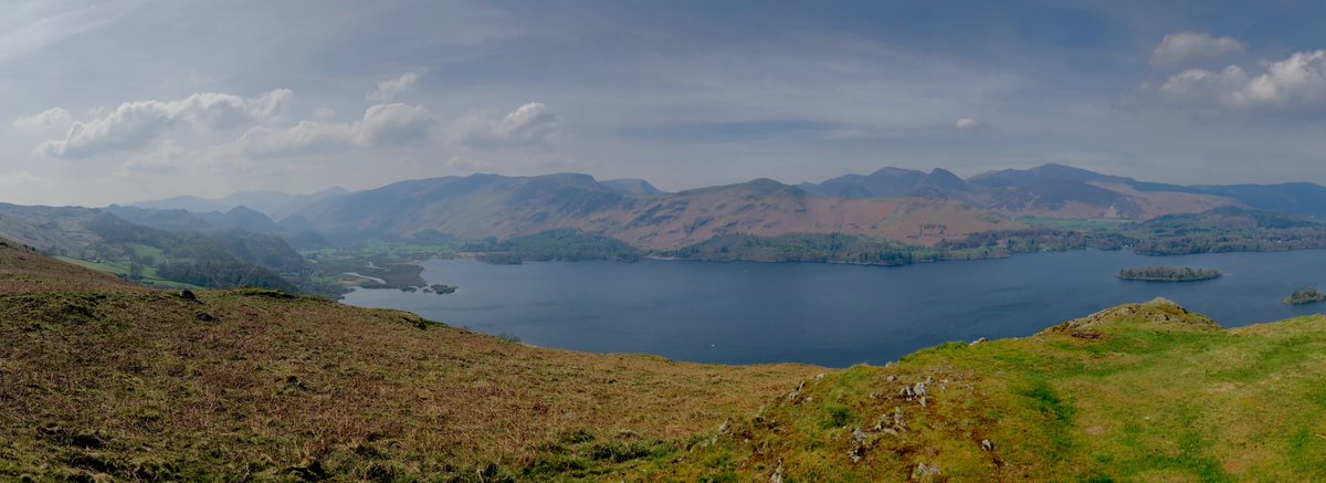 Dr. Jane Clare Jones tweet media