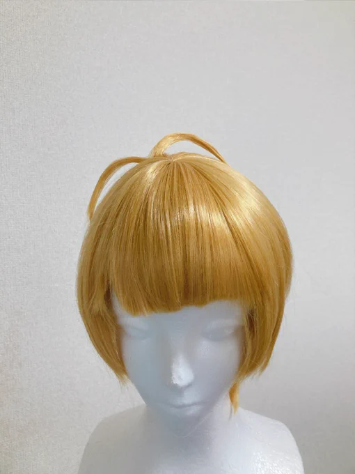 小次郎ウィッグ洗ったから再びアホ毛元気にした 
