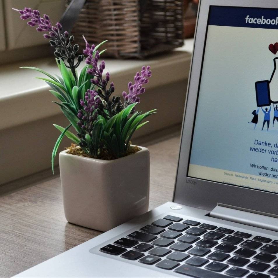 Pretty Pauline Copywriter tweet media