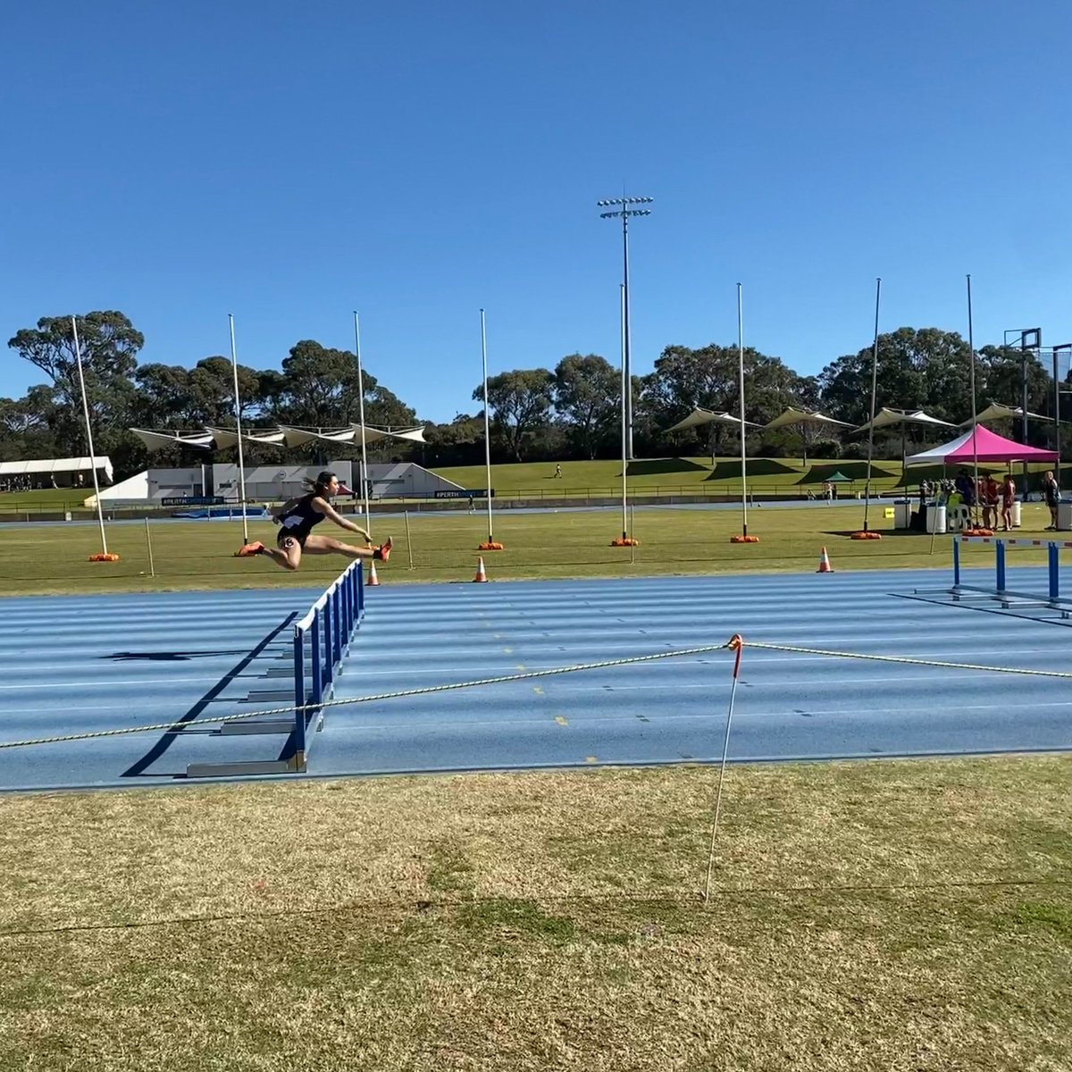 Mater Dei College tweet media
