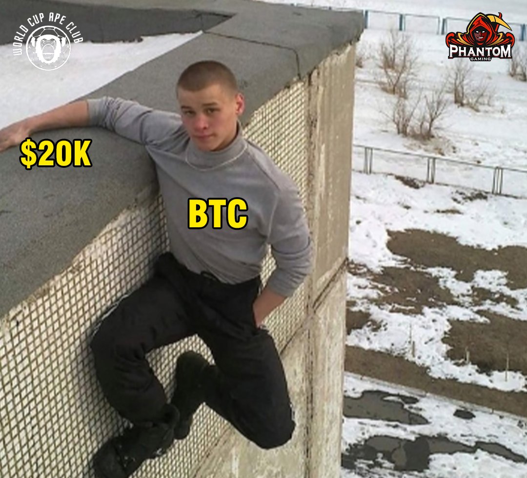 PTom Gaming tweet media