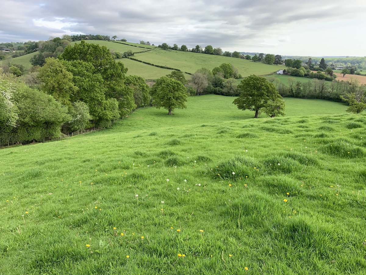 Andrew Yeoman tweet media