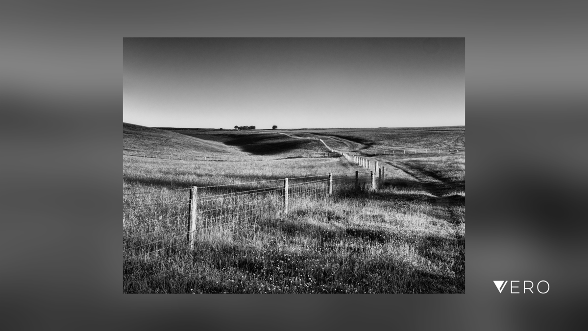 BobHolmanPhoto's tweet photo. Salisbury Plain, Wiltshire. Early morning. 
Last of the trilogy. 
#smartshots #blackandwhitephoto #blackandwhitephotography #blackandwhite #iamarebelmember #iso100community #raw_bnw #shotoniPhone #rebels_united #rebel_bnw #podium_m… https://t.co/b0HgqDcoAd https://t.co/9tIB2lntr2